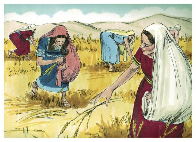Book Of Ruth 8 Incredible Hidden Gems That'll Change Your Life